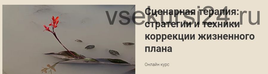 Сценарная терапия: стратегии и техники коррекции жизненного плана (Наталья Приймаченко)