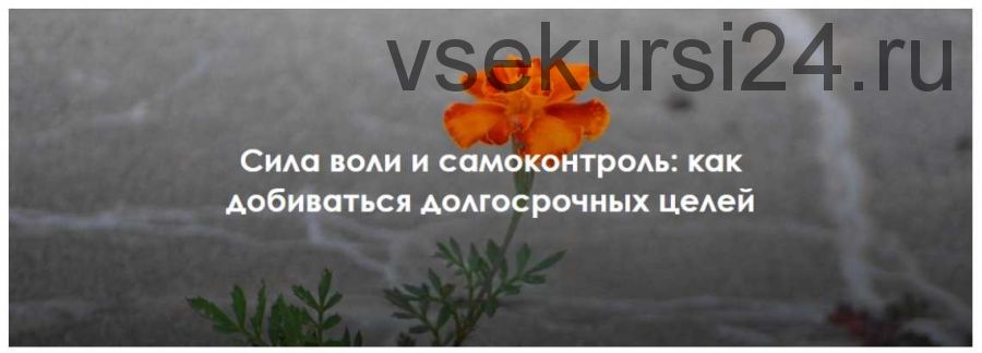 Сила воли и самоконтроль: как добиваться долгосрочных целей (Виктория Шилкина, Ирина Якутенко)