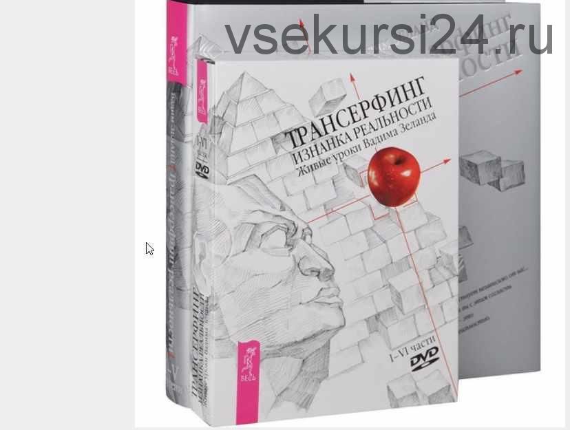 Трансерфинг. Изнанка реальности. Живые уроки Вадима Зеланда. I-VI части (4 DVD) (Вадим Зеланд)