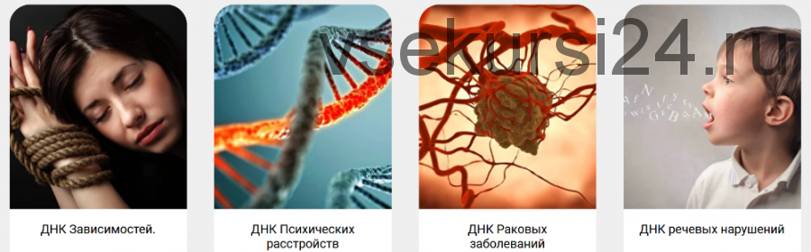 Трансформация ДНК. Весь курс (Ольга Коробейникова)