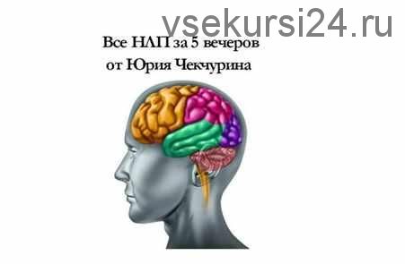 Всё НЛП за 5 вечеров. 2016 (Юрий Чекчурин)