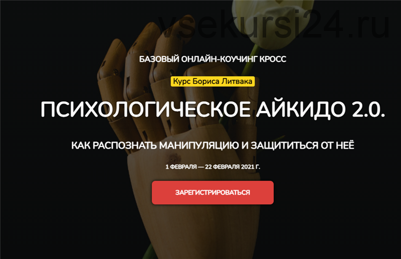[КроссКлуб] Психологическое айкидо 2.0. Пакет - Лайт (Борис Литвак)