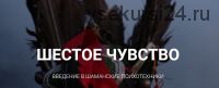 [НЛП] Шестое чувство. Пакет Эконом (Юрий Чекчурин, Ольга Парханович)