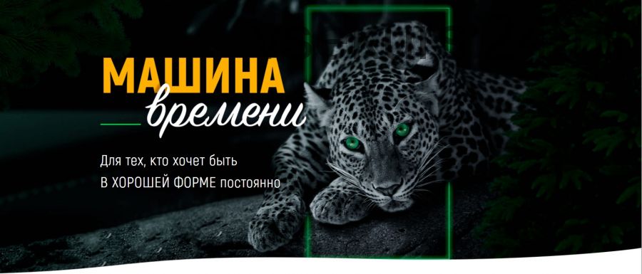 [Проект Марта NG] Машина времени и Дизайн новой реальности (Марта Гарина)