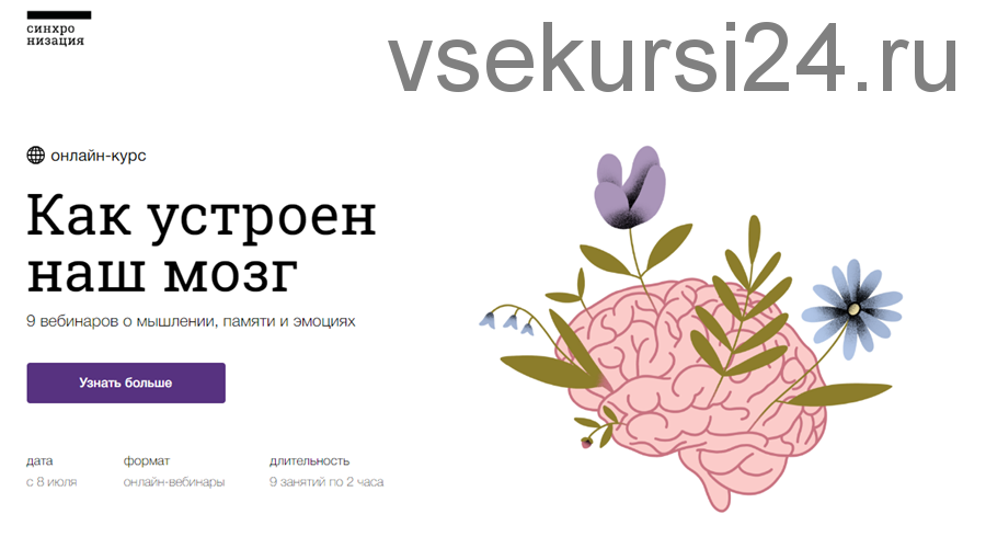 [Синхронизация] Как устроен наш мозг (Вячеслав Дубынин)