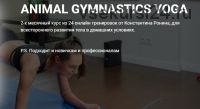 Animal gymnastics yoga (Константин Ронин)