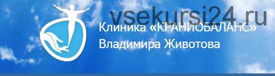 Что со мной? Понятно! Действую! (Владимир Животов)