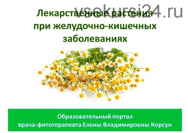 Фитооздоровление при заболеваниях желудка и кишечника (Елена Корсун)