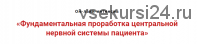 Фундаментальная проработка центральной нервной системы пациента (Игорь Атрощенко)