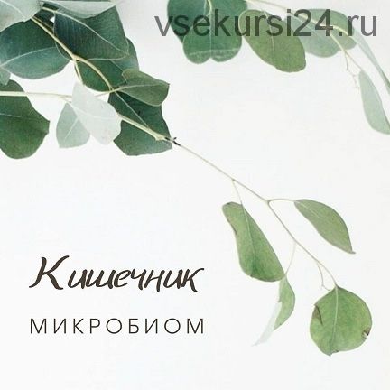 Гид по микробиоте: дисбактериоз, питание, пробиотики (Анастасия Родионова)