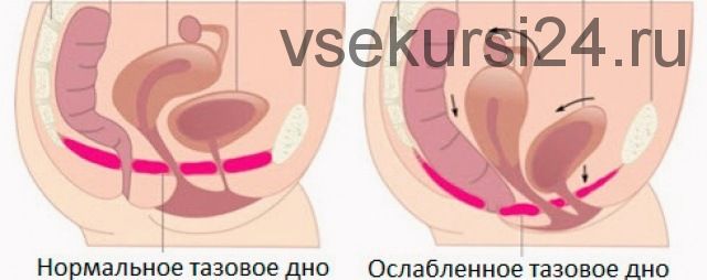 Неврология множественных оргазмов. Углубленные техники проработки интимных мышц (Игорь Атрощенко)