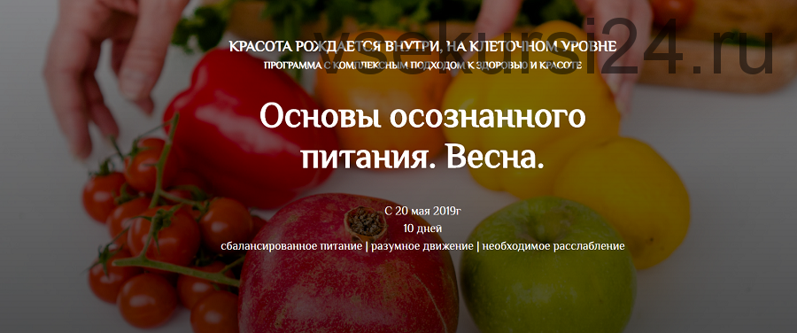 Основы осознанного питания. Весна. Пакет 'Вместе со всеми' (Екатерина Андреева)