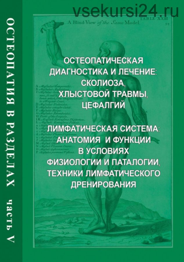 Остеопатия в разделах. Часть V. Руководство (Ирина Егорова, Андрей Червоток)