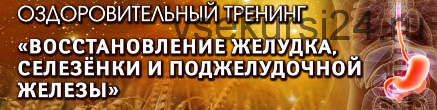 Оздоровительный тренинг 'Восстановление желудка, селезенки и поджелудочной железы'. Пакет 'Вип' (Владимир Осипов)