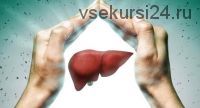 Печень - источник жизненного начала (Юлия Крекова-Блюм)