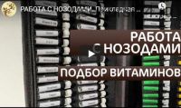 Прикладная кинезиология. Анатомические поезда. Миофасциальные цепи (Антон Циванюк)