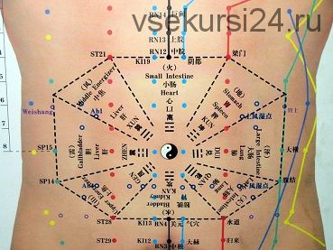 Применение иглотерапии и фитопрепаратов ТКМ в педиатрии (Ван Вэй)