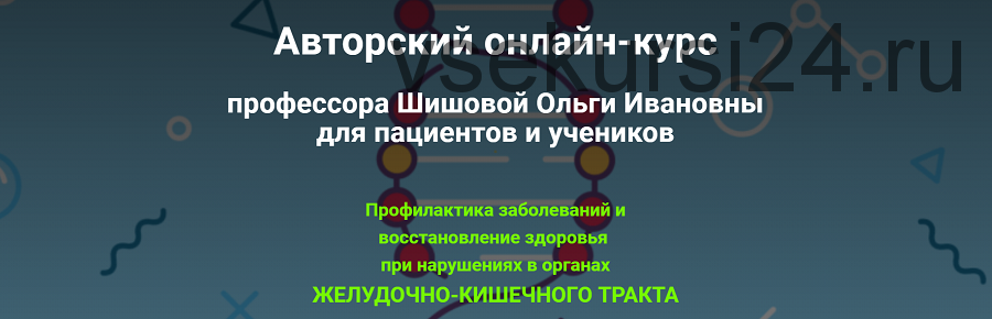 Профилактика заболеваний и восстановление здоровья при нарушениях в органах ЖКТ (Ольга Шишова)