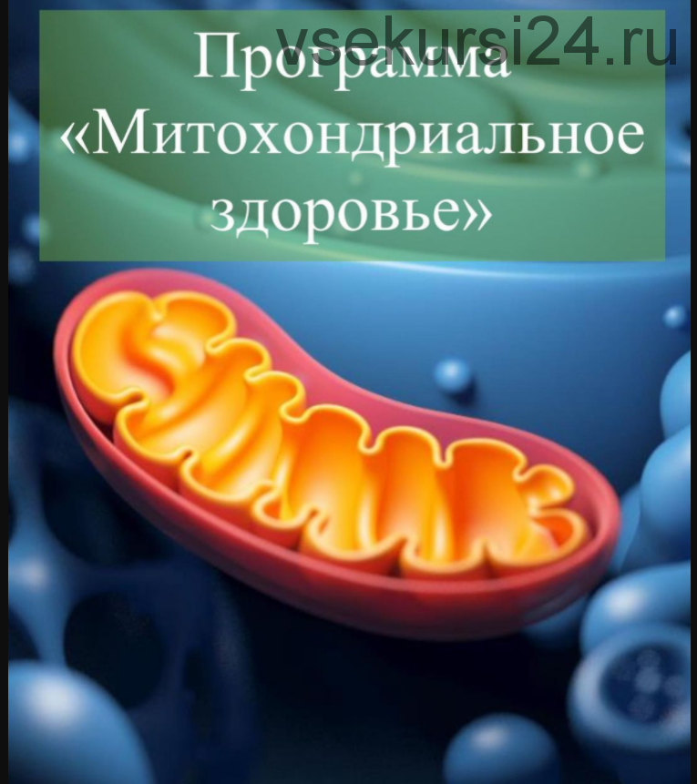 Программа 'Митохондриальное здоровье' (Виктория Суслова)