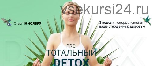 Pro тотальный detox. Ноябрь 2020 (Диляра Лебедева)