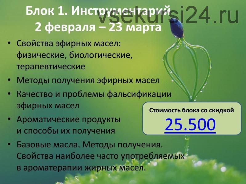 Рождение ароматерапевта или введение в Клиническую ароматерапию. 1 блок (Александра Кожевникова)