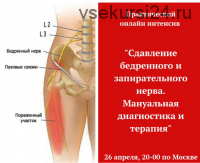 Сдавление бедренного и запирательного нерва (Игорь Атрощенко)