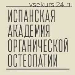 Школа Антонио Гонсалеса. Стопа. Часть 1 (Испанская Академия органической остеопатии)