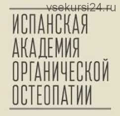 Школа Антонио Гонсалеса. Стопа. Часть 2 [Испанская Академия органической остеопатии]