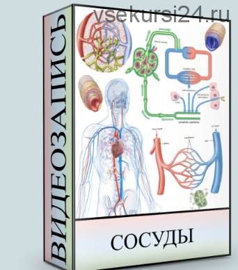 Сосуды (Людмила Малышева)