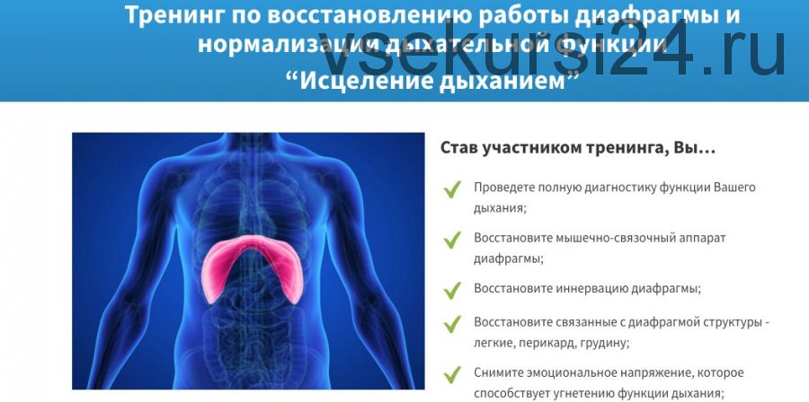 Тренинг по восстановлению работы диафрагмы и нормализации дыхательной функции (Елена Шведова)