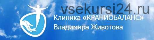 Твой ребенок гений: Форма и слепок (Владимир Животов)