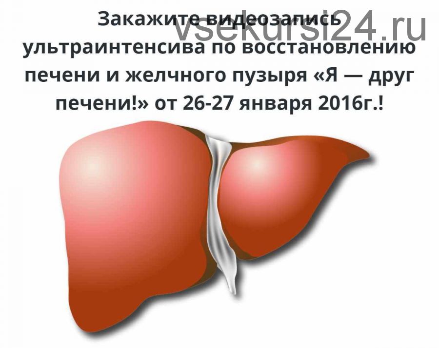 Ультраинтенсив по восстановлению печени и желчного пузыря «Я — друг печени!» Пакет VIP (Алексей Маматов)