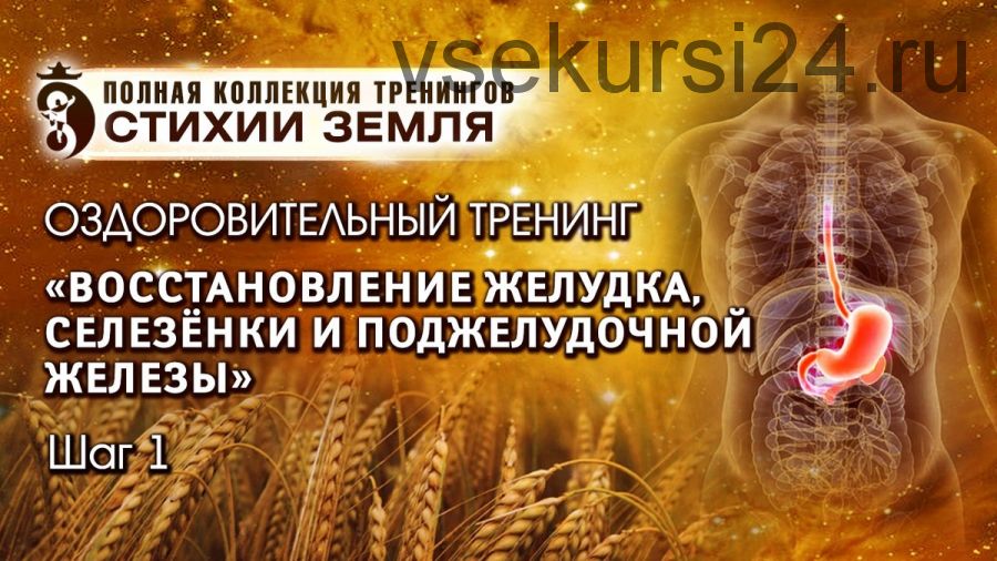 Восстановление желудка, селезенки и поджелудочной железы.Стихия Земля Шаг №1. Вип (Владимир Осипов)