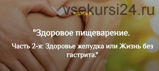 Здоровое пищеварение. Здоровье желудка или жизнь без гастрита (Екатерина Андреева)