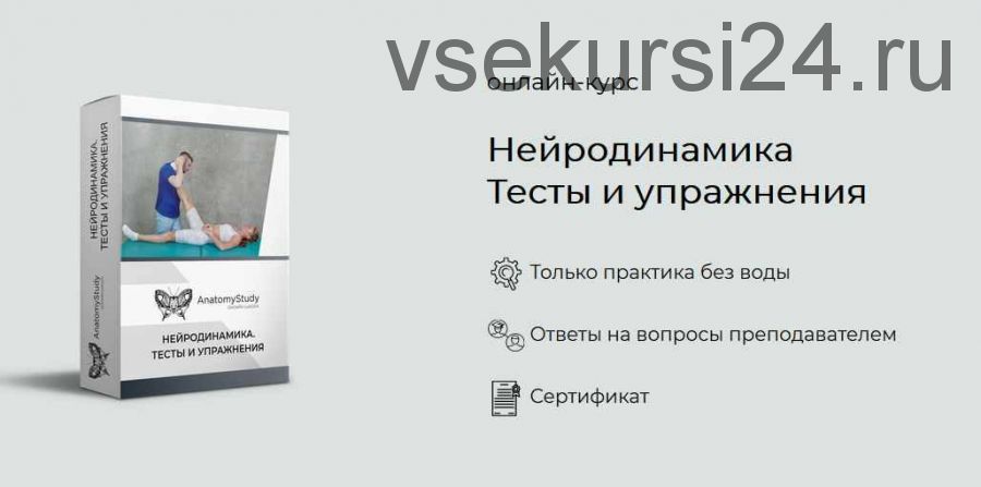 [Анатомия] Нейродинамика. Тесты и упражнения (Андрей Богатырев)