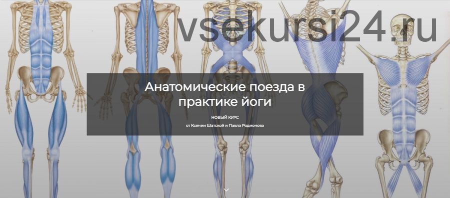 [Basebody] Анатомические поезда в практике йоги (Ксения Шатская, Павел Родионов)