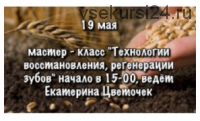 [Дерево жизни] Технологии восстановления, регенерации зубов и зубной ткани (Екатерина Цветочек)