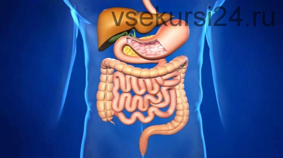 [Школа здоровья 'Сам себе доктор'] Желудочно-Кишечный Тракт (Наталья Винниченко-Морозова)