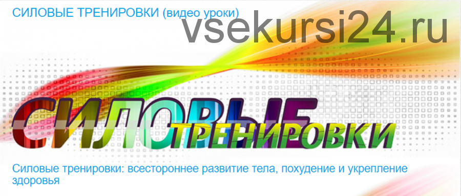 [Timestudy] Силовые тренировки (Реутов Михаил, Реутова Наталья)