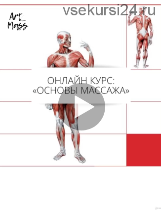 [Udemy] Основы массажа с 0. Массаж для начинающих (Артем Цвилюк)