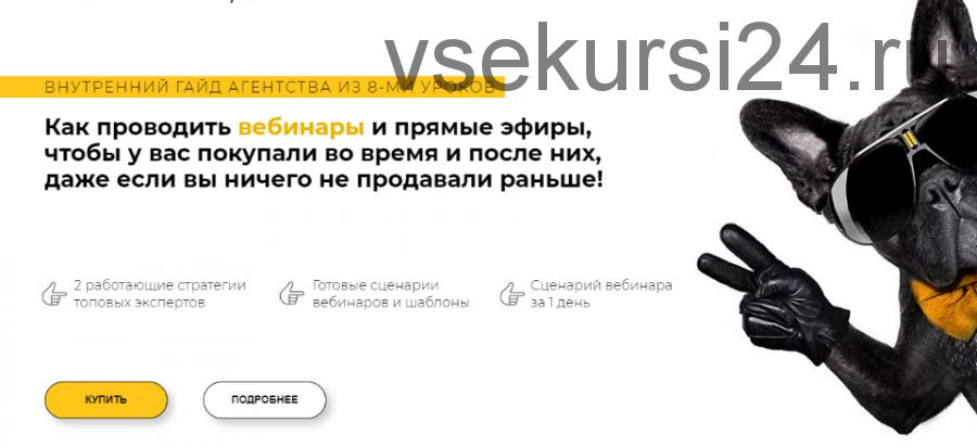 Как проводить вебинары и прямые эфиры, чтобы у вас покупали во время и после них (Анастасия Ланская)