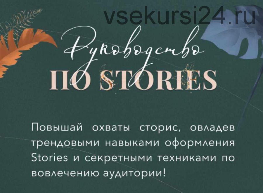 [Bizcarusel] Руководство по stories. Lite-версия (Катерина Алешина)