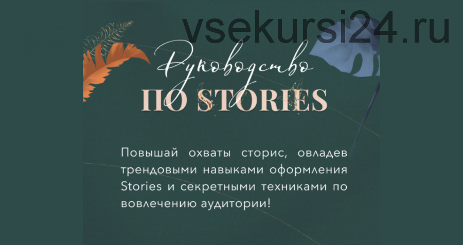 [Bizcarusel] Руководство по stories. Pro-версия (Катерина Алешина)