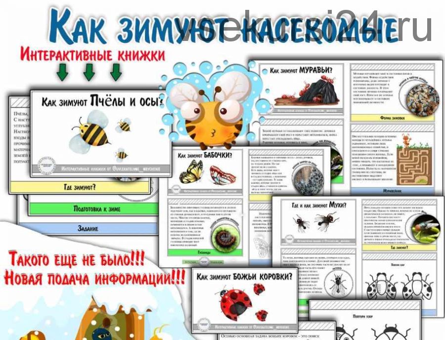 Как зимуют насекомые? Интерактивные книжки (Елена Солдатова)