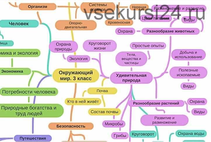 Набор майнд-карт за 1 класс (Олеся Полубоярова)