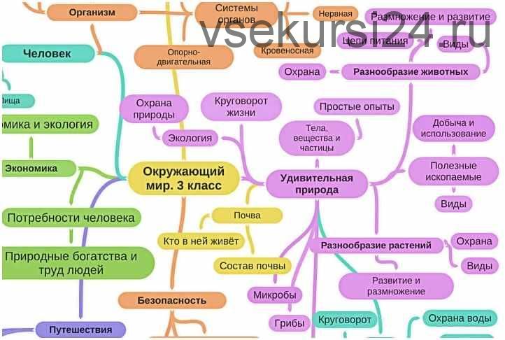 Набор майнд-карт за 3 класс (Олеся Полубоярова)