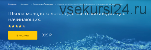 Школа молодого логопеда: все о логопедии для начинающих (Ольга Елецкая)