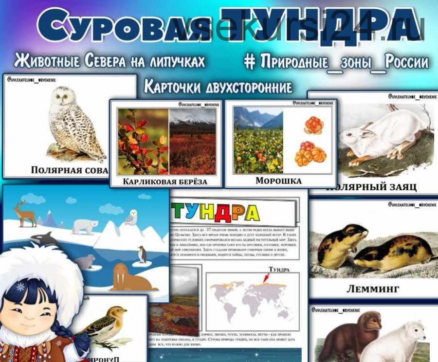 Суровая тундра. Особенности климата северной России (Елена Солдатова)