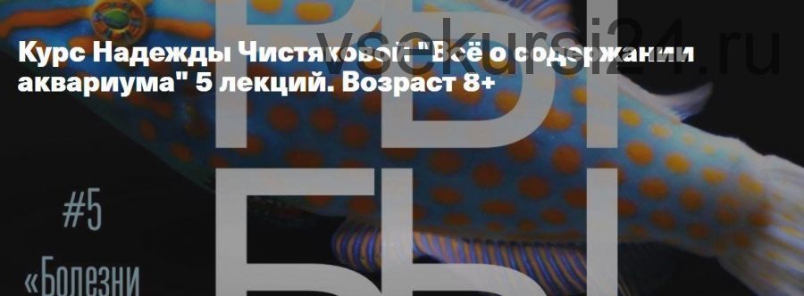 Всё о содержании аквариума. Возраст 8+ (Надежда Чистякова)