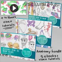 Полный комплект по рисованию анатомии / Anatomy complete bundle (Mitch Leeuwe)